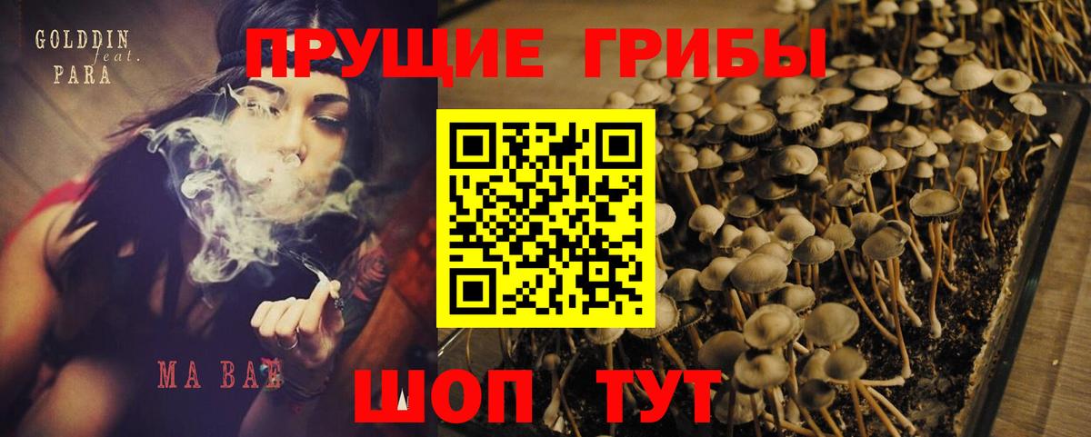 Озёры  Галлюциногенные грибы MAGIC MUSHROOMS  Галлюциногенные грибы прущие грибы  Вход с VPN 